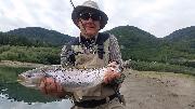 Rainbow trout M, Slovenia fly fishing 